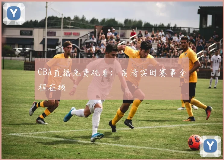 CBA直播免费观看:高清实时赛事全程在线